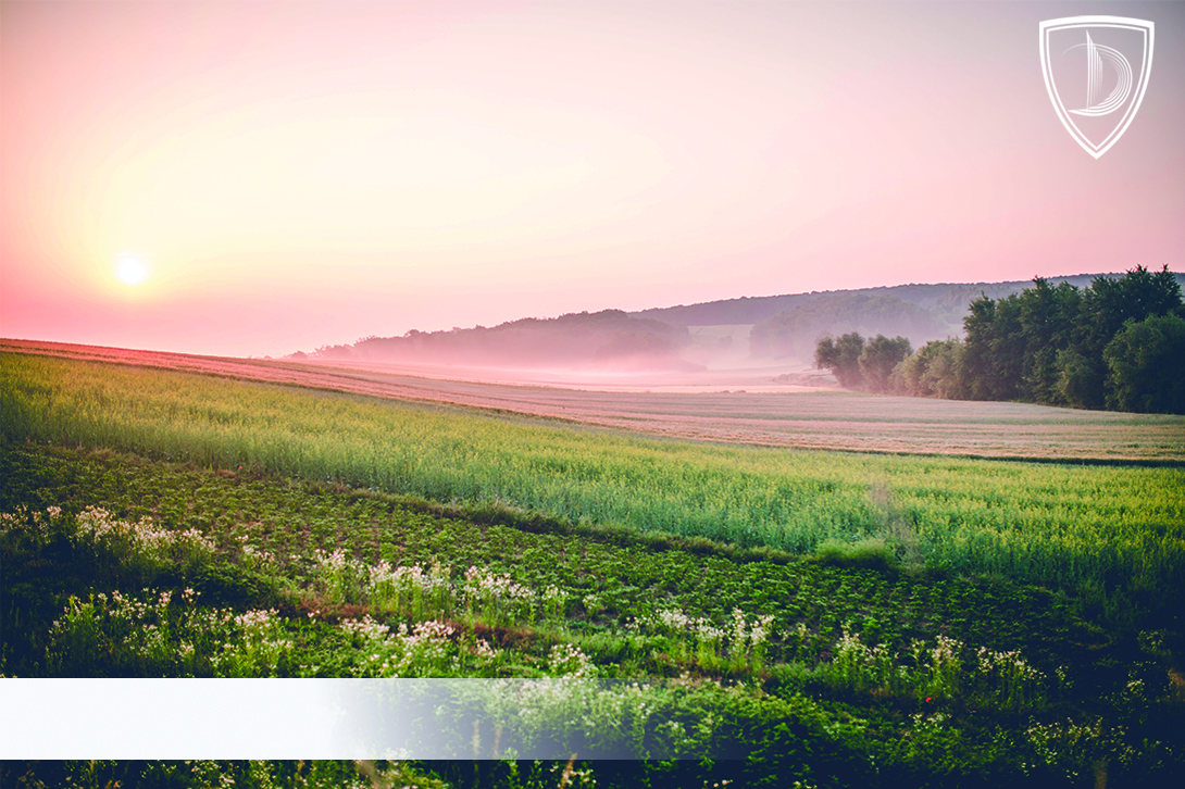 The Grand Chamber of the Supreme Court has solved the problem regarding the issue of receiving a plot of land in possession